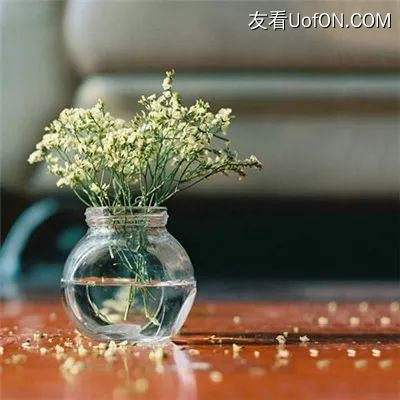 汉风西游ol九游版下载